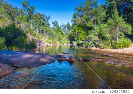 A freshwater creek flowing through scenic wilderness 124855923