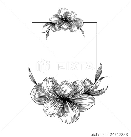 Floral Rectangle Frame with Hibiscus Composition. A floral rectangle frame featuring a realistic hibiscus composition, perfect for branding, packaging, and elegant invitations. 124857288