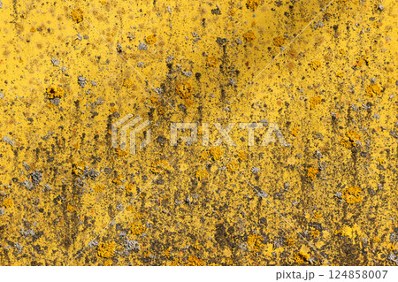 Vivid close-up photo of a yellow painted metal wall with lichn and rust Vivid close-up photo of a yellow painted metal wall with lichn and rust 124858007