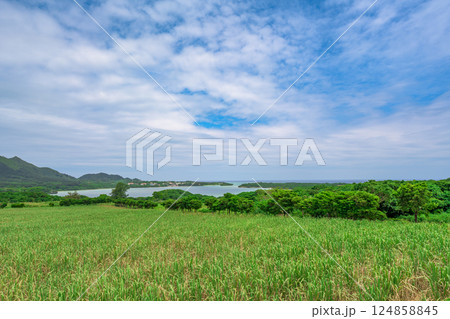 広がる草原と海が調和する川平湾の眺望 広がる草原と海が調和する川平湾の眺望 124858845
