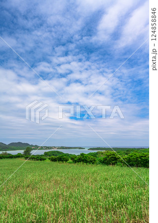 広がる草原と海が調和する川平湾の眺望 124858846