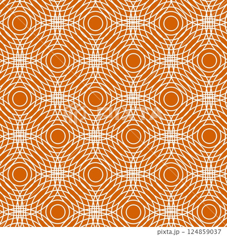 abstract geometric pattern with lines 124859037