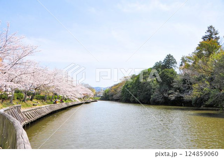 南郷公園 124859060
