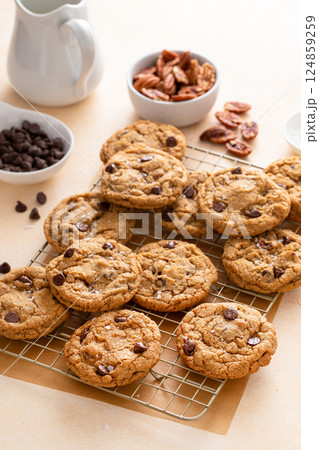Chocolate chip cookies with pecan nuts, freshly baked cookies on a cooling rack Chocolate chip cookies with pecan nuts, freshly baked cookies on a cooling rack 124859259