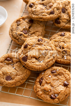 Chocolate chip cookies with pecan nuts, freshly baked cookies on a cooling rack Chocolate chip cookies with pecan nuts, freshly baked cookies on a cooling rack 124859260