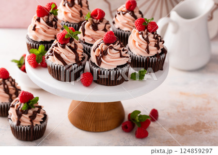 Raspberry chocolate cupcakes with raspberry buttercream frosting a drizzle of chocolate glaze Raspberry chocolate cupcakes with raspberry buttercream frosting a drizzle of chocolate glaze 124859297