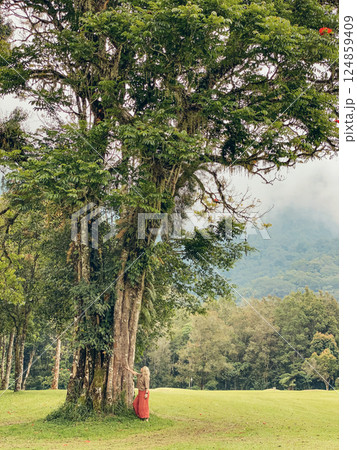 Woman near big tree at beautyful green landscape of Handara 124859409