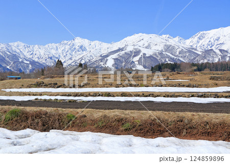 白馬山麓 雪どけの春 白馬山麓 雪どけの春 124859896