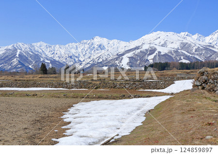 白馬山麓　雪どけの春 124859897