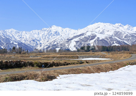白馬山麓 雪どけの春 白馬山麓 雪どけの春 124859899