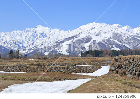 白馬山麓 雪どけの春 白馬山麓 雪どけの春 124859900