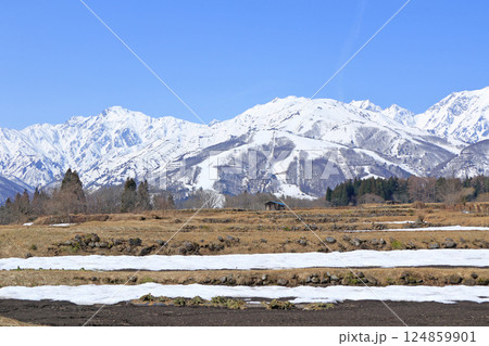 白馬山麓 雪どけの春 白馬山麓 雪どけの春 124859901