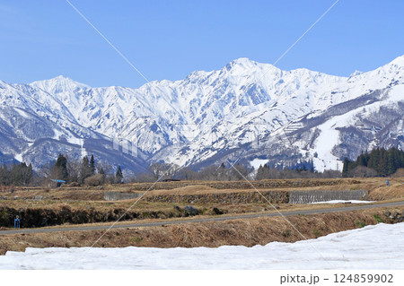 白馬山麓 雪どけの春 白馬山麓 雪どけの春 124859902