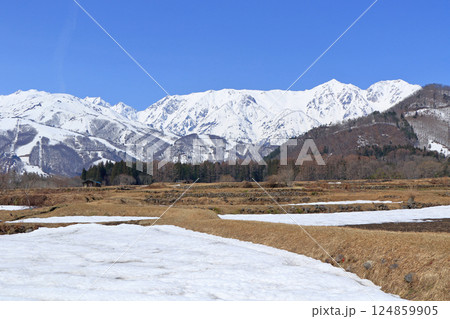 白馬山麓　雪どけの春 124859905