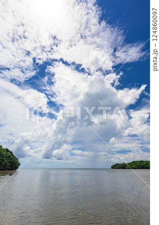 青空と雲のコントラストが際立つ石垣島の大自然の眺め 124860097