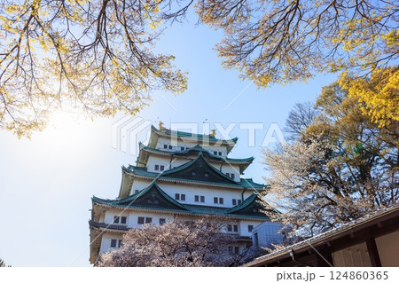 春風に揺れる八分咲きの桜｜名古屋城の情景 124860365