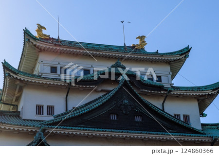 春風に揺れる八分咲きの桜｜名古屋城の情景 124860366