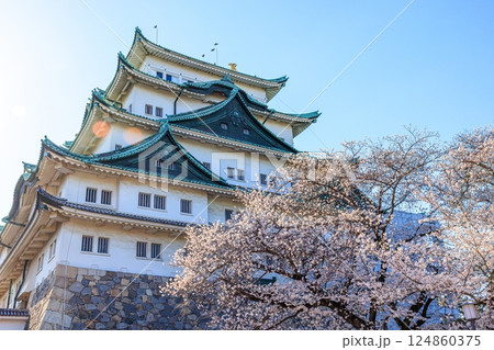 春風に揺れる八分咲きの桜｜名古屋城の情景 124860375