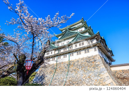 春風に揺れる八分咲きの桜|名古屋城の情景 春風に揺れる八分咲きの桜|名古屋城の情景 124860404
