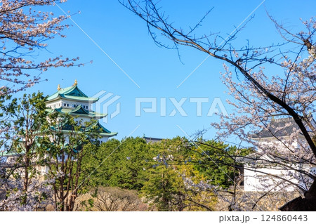 春風に揺れる八分咲きの桜｜名古屋城の情景 124860443