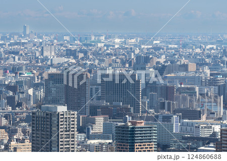 高層ビルから見る都心の風景 高層ビルから見る都心の風景 124860688