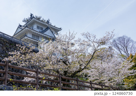豊橋吉田城鉄櫓と桜 豊橋吉田城鉄櫓と桜 124860730