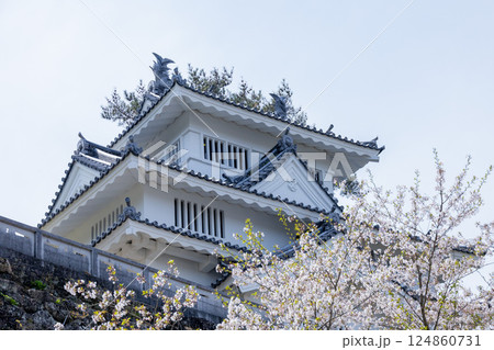 豊橋吉田城鉄櫓と桜 豊橋吉田城鉄櫓と桜 124860731