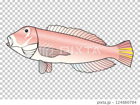 A simple outline of a tilefish 124860784