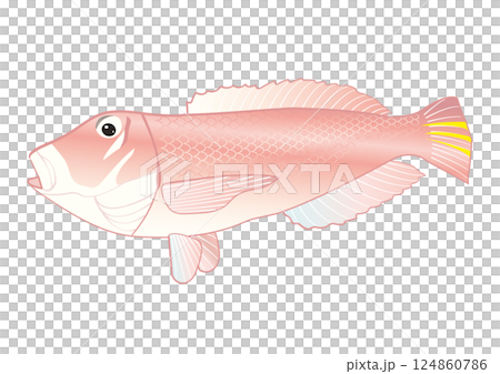Simple swimming tilefish 124860786