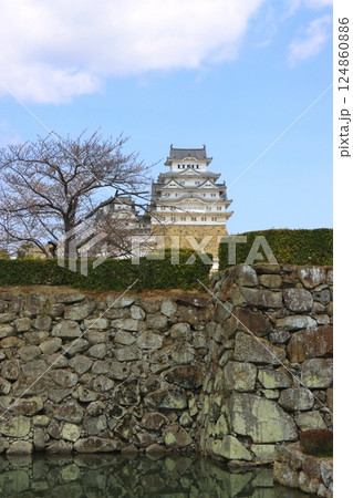 姫路城（国宝・姫路市・縦構図） 124860886