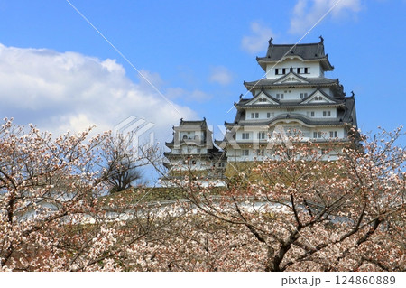 春の姫路城（国宝・姫路市） 124860889
