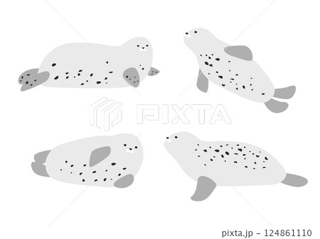 Vector illustration of spotted seal. Vector illustration of spotted seal. 124861110