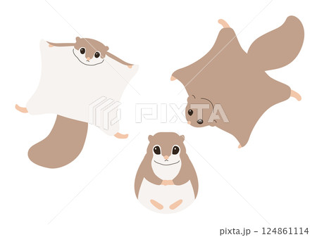 Vector illustration of flying squirrel. 124861114