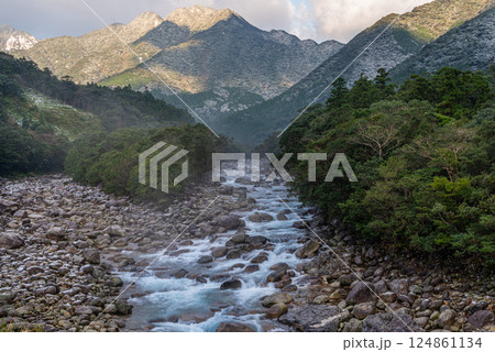 寒波襲来　宮之浦川渓谷と朝日　洋上アルプス屋久島 124861134