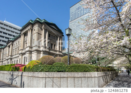 日本銀行本店と江戸桜通りの桜 124861278