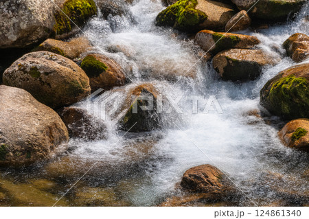 巨岩の流れ　宮之浦川渓谷　洋上アルプス屋久島(春 124861340