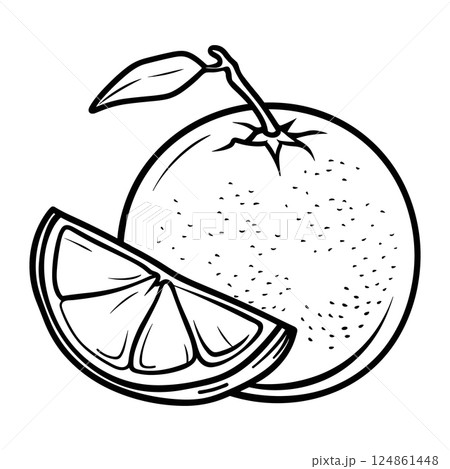 Outline orange fruit whole and slice icon. Hand drawn black line sketch on white background. Logo template. Vector illustration Outline orange fruit whole and slice icon. Hand drawn black line sketch on white background. Logo template. Vector illustration 124861448