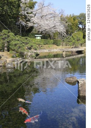 桜のある美しい風景 124861626