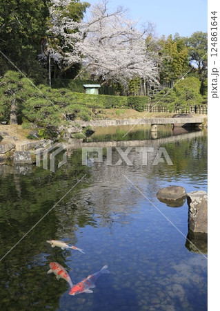 桜のある美しい風景 桜のある美しい風景 124861644
