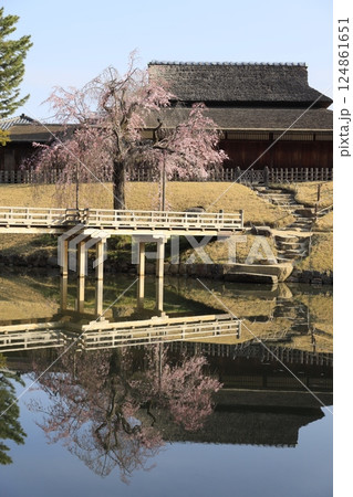 桜のある美しい風景 桜のある美しい風景 124861651