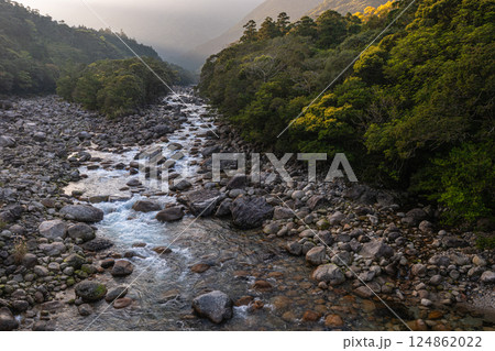 新緑と光 宮之浦川渓谷 洋上アルプス屋久島 新緑と光 宮之浦川渓谷 洋上アルプス屋久島 124862022
