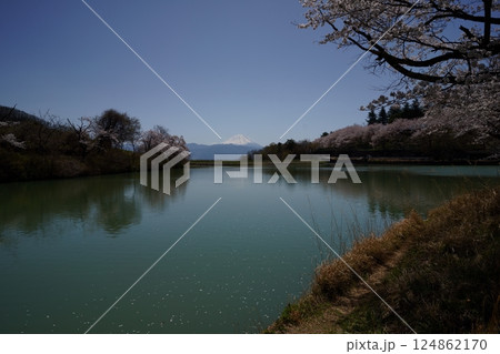 八木羽湖公園のサクラ 124862170