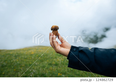Hand picking mushroom on flowering grassland 124862729
