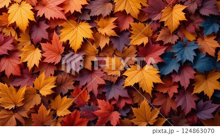 Realistic Autumn Leaves Background in Warm Fall Colors | High Resolution. 124863070
