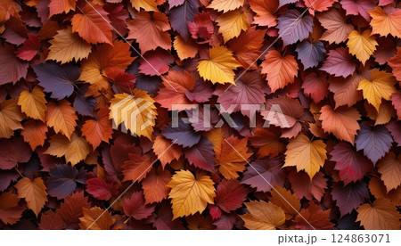 Realistic Autumn Leaves Background in Warm Fall Colors | High Resolution. 124863071