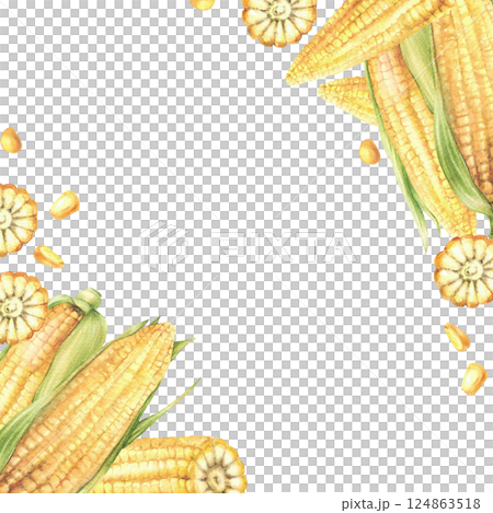 Corn cobs. Yellow sweet cut, whole maize cob and kernel square frame. Seeds and green leaves, husks of sweet corn plant Watercolor painted illustration Template for food label Isolated from background 124863518