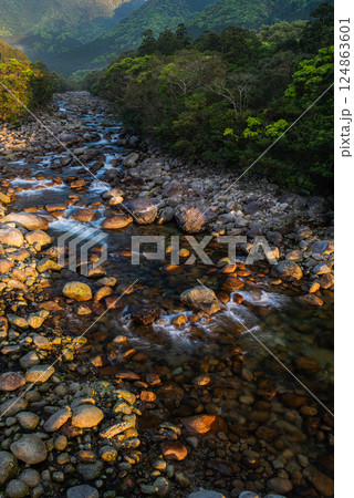 新緑と朝日　宮之浦川渓谷　洋上アルプス屋久島 124863601