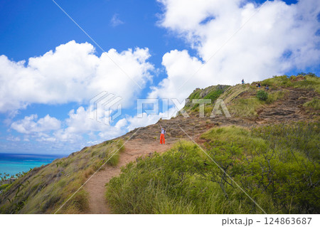 ハワイ ラニカイピルボックスハイク ハワイ ラニカイピルボックスハイク 124863687