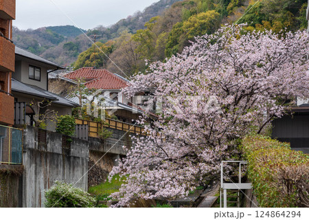 塩谷川 124864294