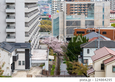 塩谷川 124864295